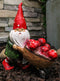Whimsical Garden Mr Grandpa Gnome Pushing Toadstool Mushrooms Wheelbarrow Statue