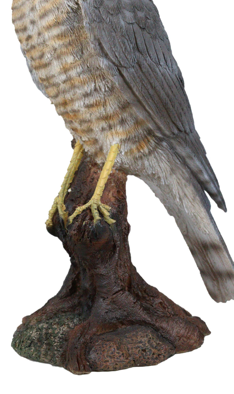Realistic Hand Painted Eurasian Sparrowhawk Perching On Tree Stump Figurine