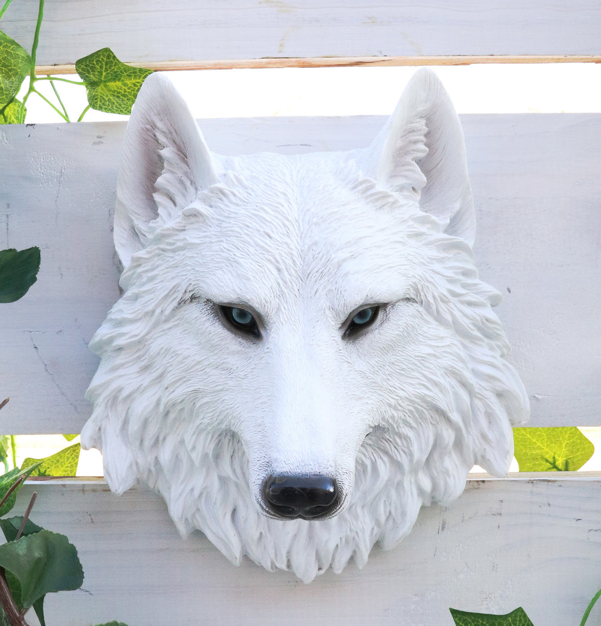 Ghost Albino Arctic White Wolf Head Wall Decor Plaque 8.5"H Direwolf Figurine - Ebros Gift