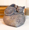 Pet Memorial My Love Sleeping Angle Cat Foot Print Rock Urn Bottom Load 30 Cubic