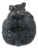 Western Rustic Forest Black Bear Lounging Scotch Tape Holder Dispenser Figurine