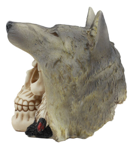 Ebros Indian Koitsenko Warrior Chief Lone Wolf Skull Statue Gothic Figurine Halloween - Ebros Gift