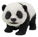 Ebros Realistic Lifelike Adorable China Asian Baby Giant Panda Bear Statue 9" Long with Glass Eyes Hand Painted Eastern Bamboo Mountain Pandas Bears Decor Figurine