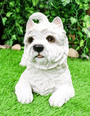 Ebros Large Lifelike West Highland Terrier White Westie Dog Statue 13.75"Long