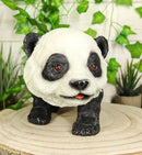 Ebros Realistic Lifelike Adorable China Asian Baby Giant Panda Bear Statue 9" Long with Glass Eyes Hand Painted Eastern Bamboo Mountain Pandas Bears Decor Figurine