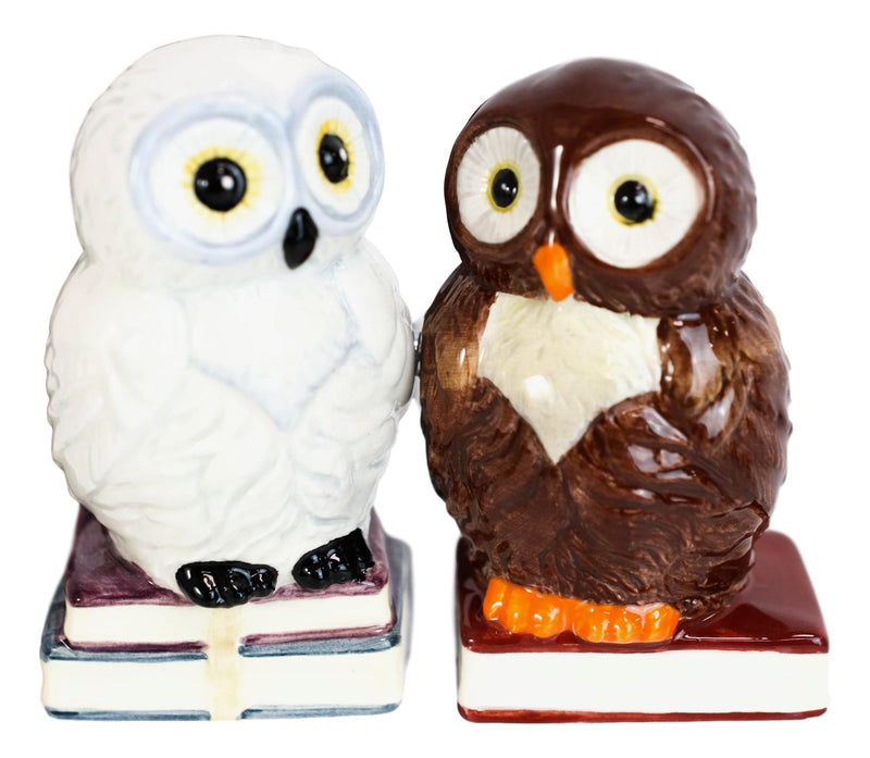 Ebros Snow & Brown Owl Bibliography Of Wisdom Ceramic Salt Pepper Shaker Set