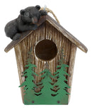 Rustic Black Bear Cub Climbing Pine Trees Birdhouse Roof Hanging Bird Feeder