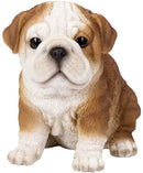 Ebros 5"H Realistic Animal Bulldog Puppy Collectible Home Decor Figurine