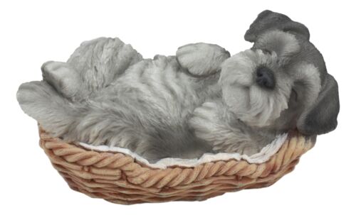 Realistic Miniature Schnauzer Puppy Sleeping In Wicker Basket Figurine 7"Long