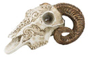 Gothic Macabre Ammon Cultic Tribal Tooled Tattoo Scrimshaw Ram Skull Figurine