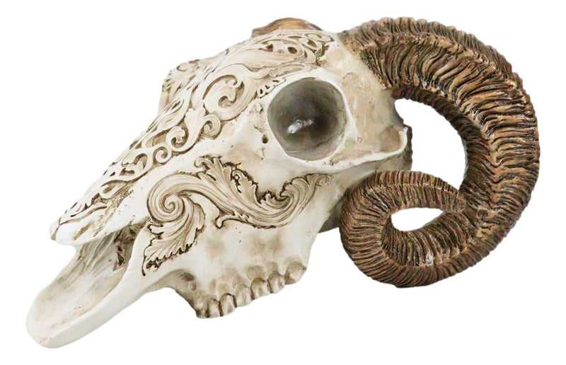 Gothic Macabre Ammon Cultic Tribal Tooled Tattoo Scrimshaw Ram Skull Figurine