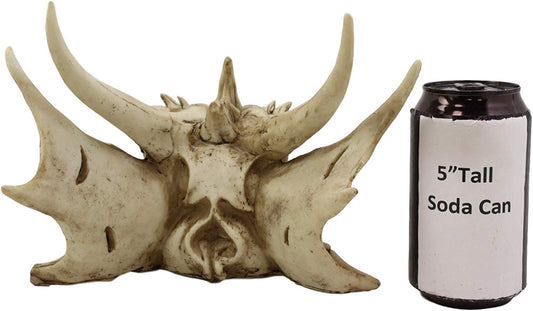 Ebros Elder Jurassic Dragon Head Skull Realistic Fossil Statue 9" Long Figurine - Ebros Gift