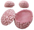 Walking Dead Zombie Brain Jewelry Box Decorative Figurine Zombie Brains Bait Box