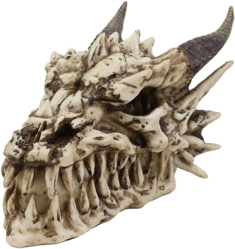Ebros 9" L Grinning Fossil Bone Skeleton Dragon Skull 'Stryker' Decorative Box