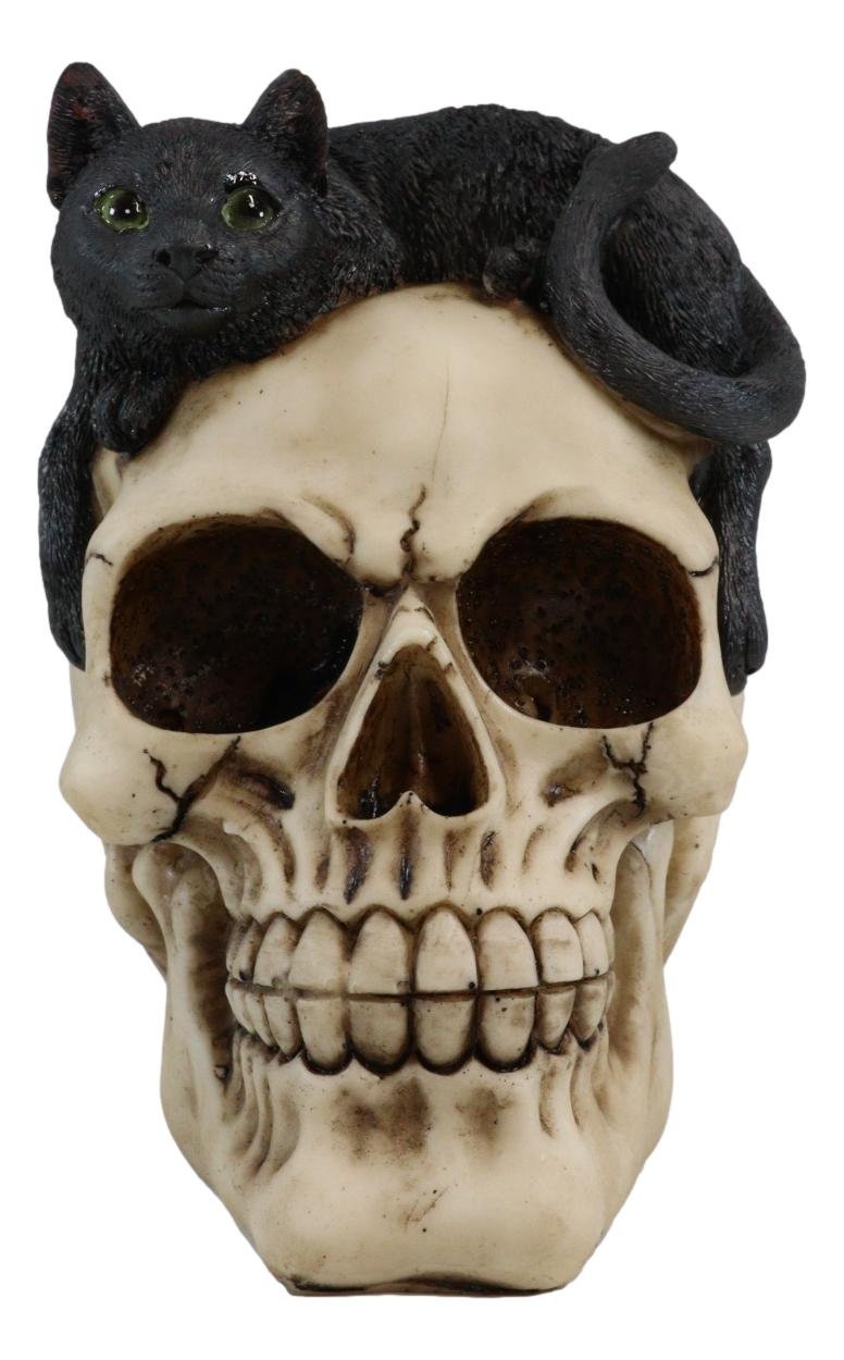Ebros Witching Hour Black Mystical Cat Perching On Skull Macabre Figurine