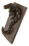 Diamondback Rattlesnake Taxidermy Wall Hook On Wooden Plank Decor Sculpture