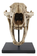 Ebros Faux Taxidermy Black Bear Skull Baring Teeth Statue On Pole Mount Display