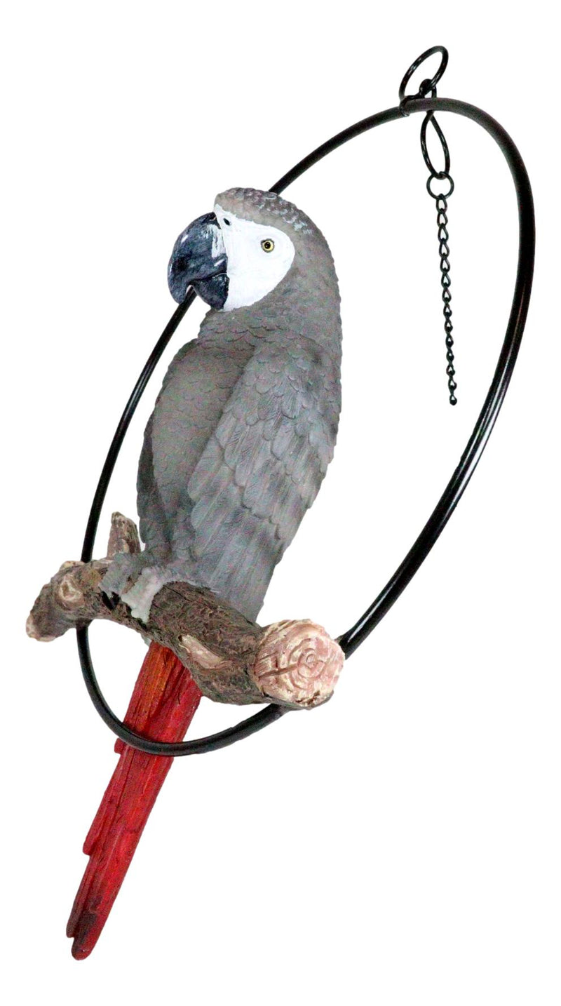 Hanging Grey Macaw Parrot Bird Perching On Branch With Metal Round Ring 13.5" H