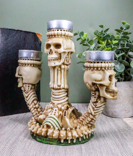 Ebros Trio Ossuary Graveyard Skulls & Skeleton Bones Candelabra Candle holder - Ebros Gift