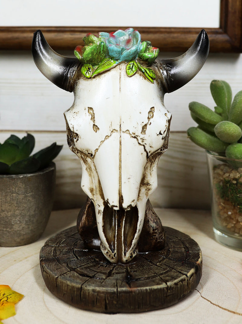 cow skull succulents Southwest Aged Bone Bull Cow Steer Head Skull With Floral Succulents S– Ebros Gift