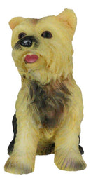Adorable Yorkie Puppy Dog Pet Pal Dollhouse Mini Figurine Yorkshire Terrier