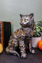 Ebros Steampunk Cyborg Cat with Clockwork Gears Nuts and Bolts Statue 8" Tall