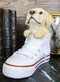 Ebros 'Paw-Star' Pups Golden Labrador Dog in Sneaker with Glass Eyes Figurine