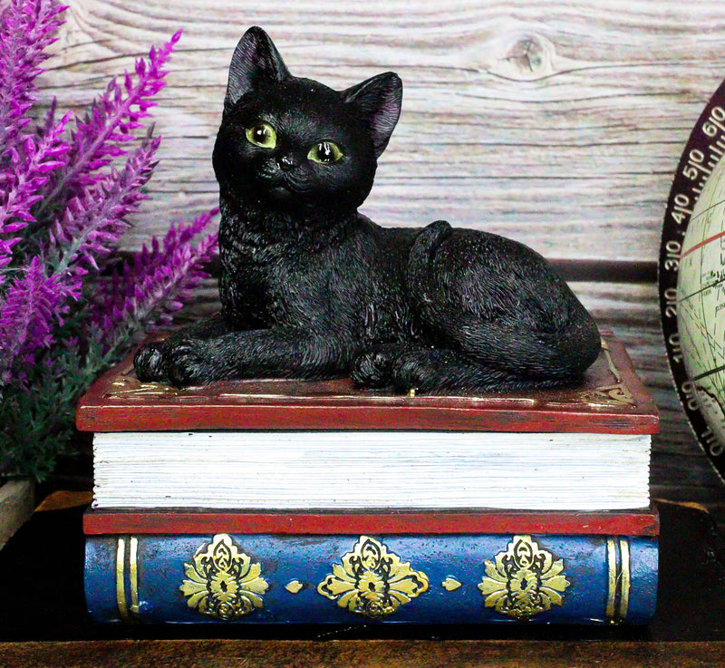 Wicca Mystical Black Cat Sitting On Book Of Spells Stack Decorative Jewelry Box