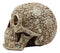 Ebros Natural Antique Skull Bone Floral Skull Statue 8"L Day Of The Dead Decor