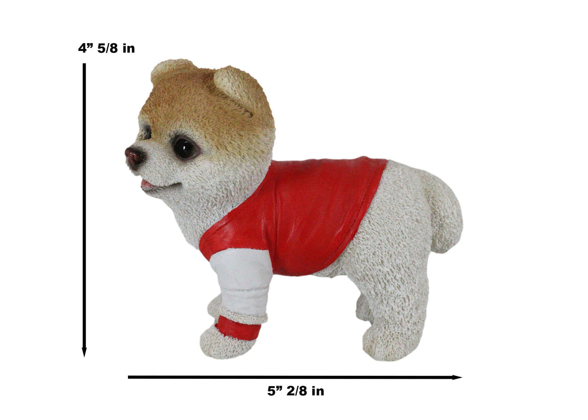 Ebros Gym Bro Boo The World's Cutest Pomeranian Dog Statue Pet Pal Dogs Collectible Breed Pomeranians Memorial Collectible Resin Decor Figurine with Glass Eyes Official Licensed Sculpture - Ebros Gift