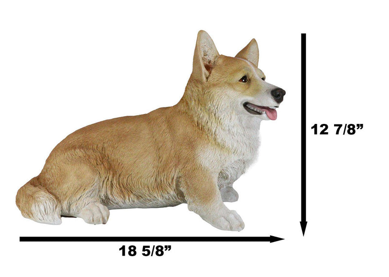Large 18.5" Long Sitting Realistic Lifelike Welsh Corgi Dog Statue Home Decor