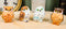 Ebros Peeking Colorful Nocturnal Fat Owls Miniature Figurine Set of 4 Whimsical