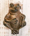 Nautical Cast Iron Farmhouse Rustic Fat Belly Frog Toad Door Knocker Sculpture