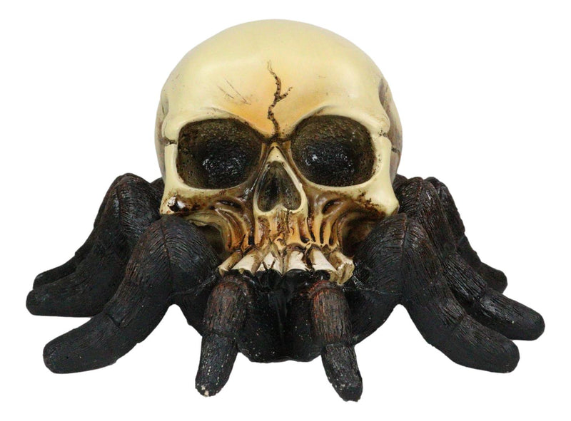 Creepy Crawler Tarantula Arachnid Skulltula Spider Bizarre Skull Figurine Decor