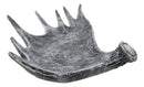 Ebros Large 20"W Distressed Rustic Bull Moose Antler Rack Accent Display Platter Plate