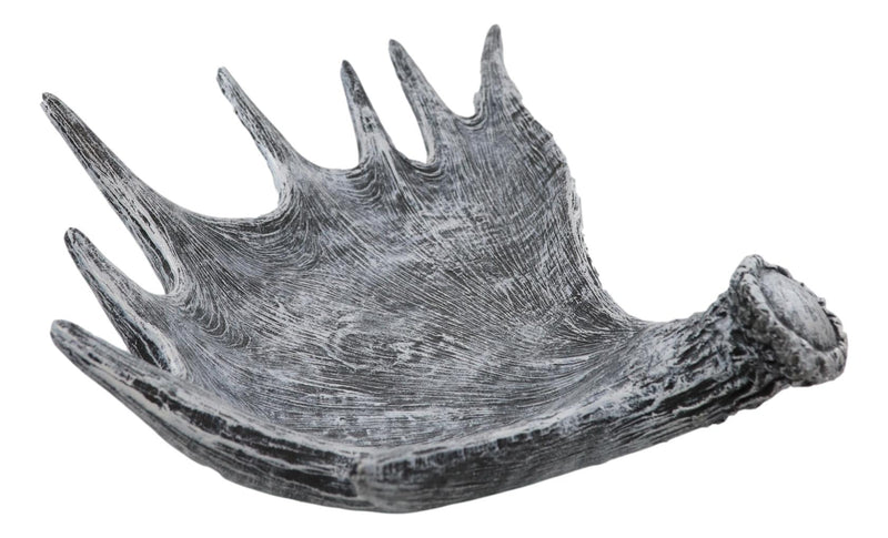 Ebros Large 20"W Distressed Rustic Bull Moose Antler Rack Accent Display Platter Plate