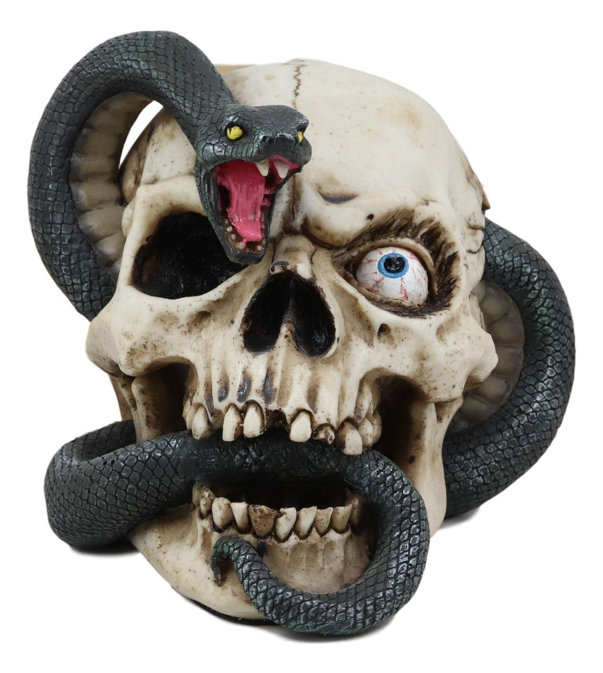 Ebros Gift Large Hissing Black Mamba Venom Snake Skull with Bloodshot Eyes Figurine 7" L Gothic Macabre Serpent Skeleton Cranium 3D Statue Halloween Spooky Decor Day of The Dead Graveyard Sculpture