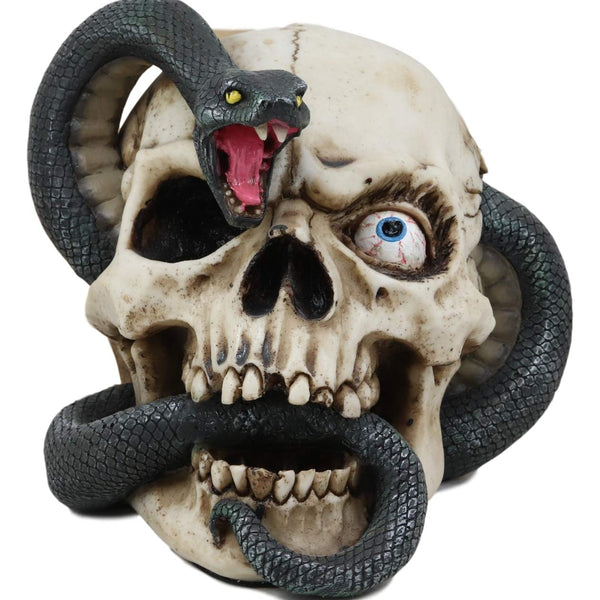 新作 VALIEM MONSTER MOUTH SKULL BOWL-S01 新品【VALIEM】バリエムMONSTER MOUTH SKULL(Lサイズ)