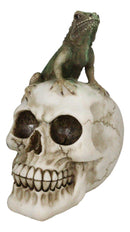 Jointed Human Skull With Iguana Lizard Figurine Halloween Spooky Macabre Decor