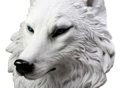 Large Ghost Albino Snow White Wolf Head Wall Decor Plaque 16"H Direwolf Figure - Ebros Gift