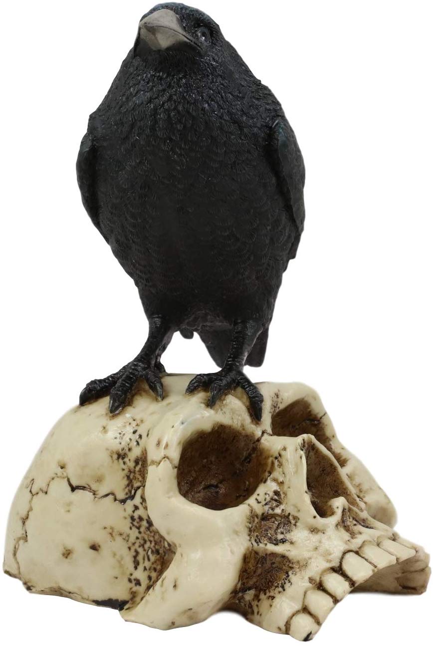 Ebros Gothic Raven Perching On Skull Statue 7.25" High Crow Scavenger Figurine