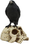 Ebros Gothic Raven Perching On Skull Statue 7.25" High Crow Scavenger Figurine