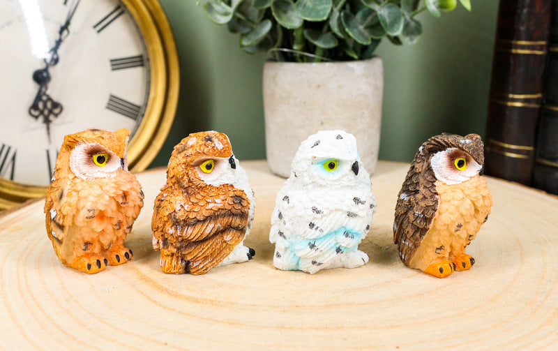 Ebros Peeking Colorful Nocturnal Fat Owls Miniature Figurine Set of 4 Whimsical