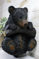 Rustic Western Forest Black Bear Cub Hanging On Branch Wall Or Tree Bark Decor