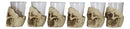 Ebros Grinning Skull Shot Glass Set of 6 Altar of Skulls Skeleton Ossuary Skull