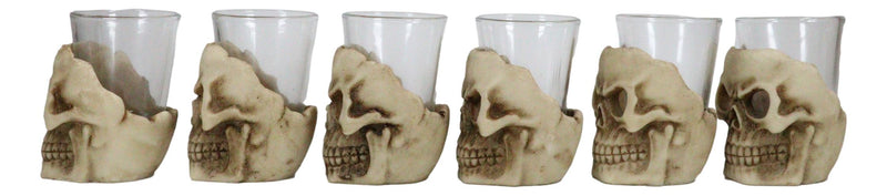 Ebros Grinning Skull Shot Glass Set of 6 Altar of Skulls Skeleton Ossuary Skull