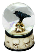 Small Gothic Day Of The Dead Edgar Allan Poe Raven On Skull Glitter Water Globe