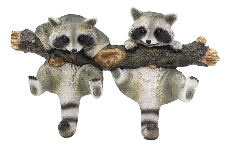 Forest Rustic 2 Playful Raccoons Dangling On Tree Branch 6 Pegs Wall Hook Decor