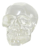 Ebros Small Clear Translucent Witching Hour Gazing Skull Acrylic Resin Cranium