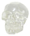 Ebros Small Clear Translucent Witching Hour Gazing Skull Acrylic Resin Cranium